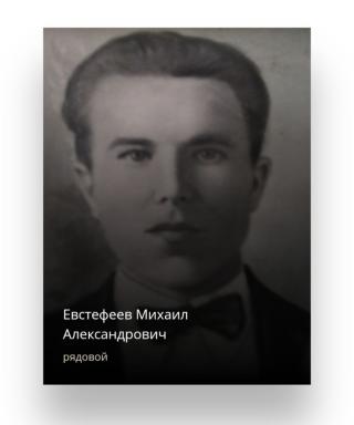 Евстифеев Михаил Александрович