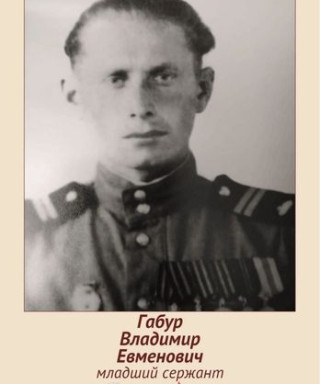 Габур Владимир Евменович