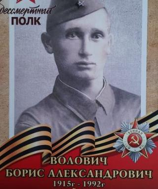 Волович Борис Александрович