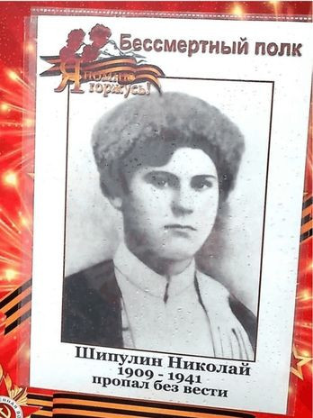 Шипулин Николай