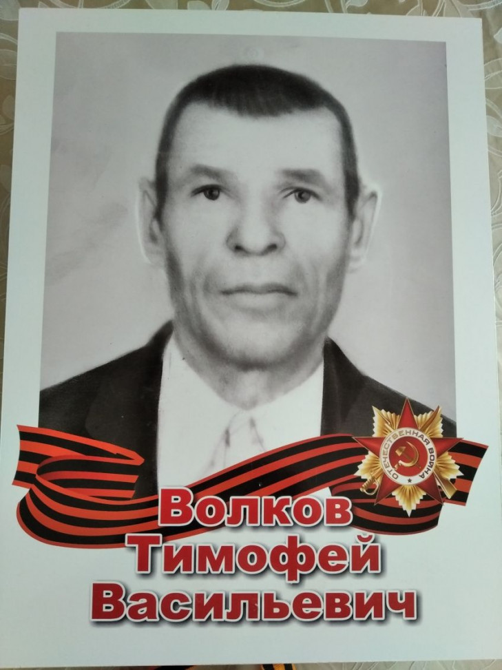 Волков Тимофей Васильевич