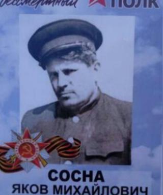 Сосна Яков Михайлович