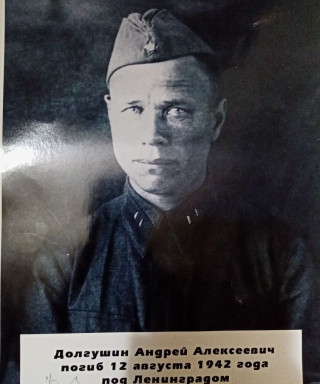 Долгушин Андрей Алексеевич