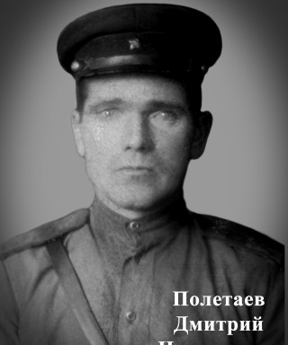 Полетаев Дмитрий Николаевич