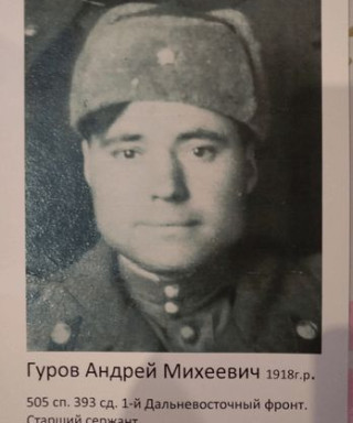 Гуров Андрей Михеевич