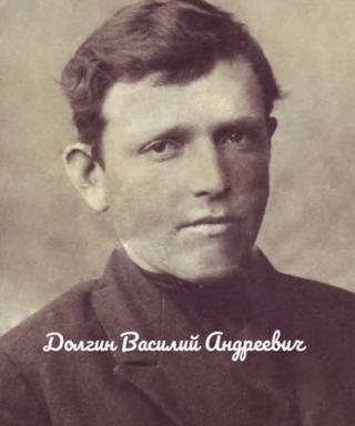 Долгин Василий Андреевич