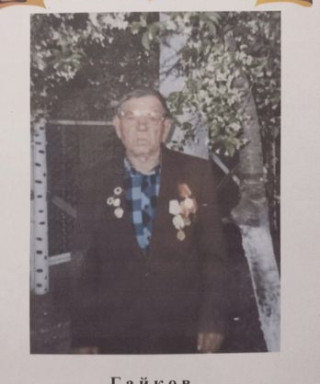 Гайков Дмитрий Емельянович