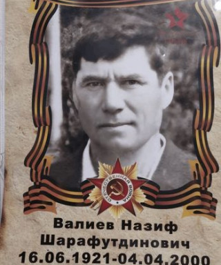 Валиев Назиф Шарафутдинович