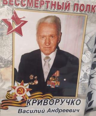 Криворучко Василий Андреевич