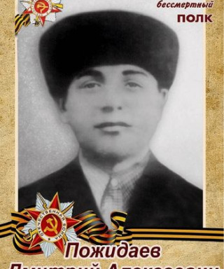 Пожидаев Дмитрий Алексеевич