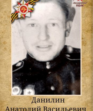 Данилин Анатолий Васильевич
