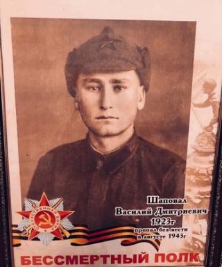 Шаповал Василий Дмитриевич