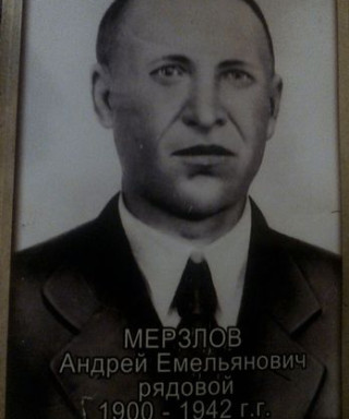 Мерзлов Андрей Емельянович