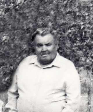 Туркин Василий Данилович