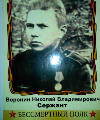 Воронин Николай Владимирович