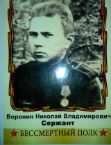 Воронин Николай Владимирович