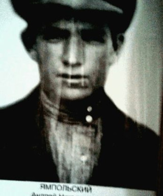Ямпольский Андрей Николаевич