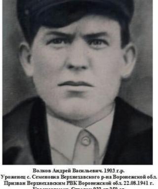 Волков Андрей Васильевич