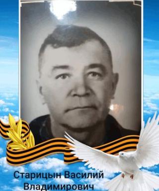 Старицын Василий Владимирович