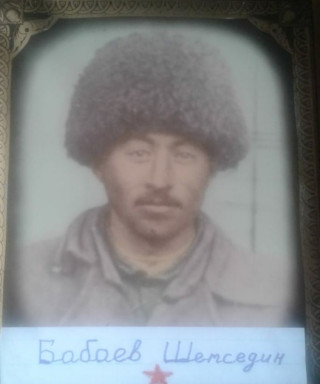 Бабаев Шамседин