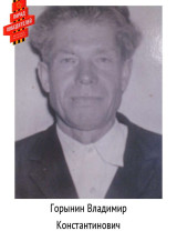 Горынин Владимир Константинович