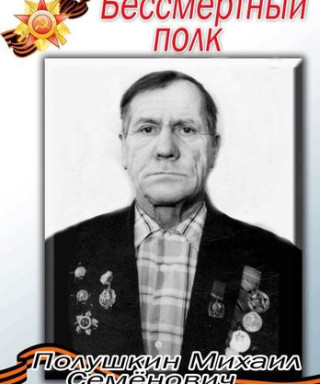 Полушкин Михаил Семёнович