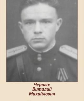 Черных Виталий Михайлович