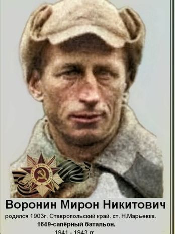 Воронин Мирон Никитович