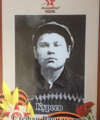 Куреев Стефан Васильевич