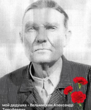 Вельмискин Александр Тимофеевич