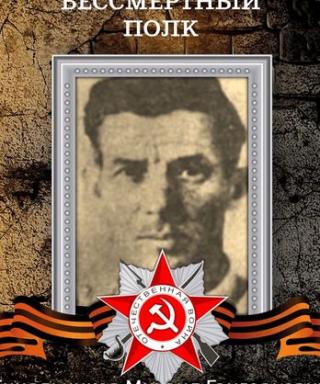 Синельников Михаил Григорьевич