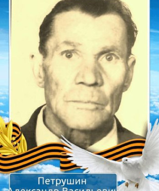 Петрушин Александр Васильевич