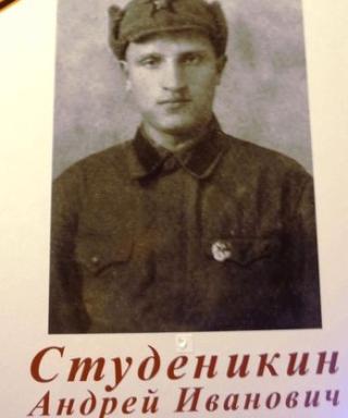 Студеникин Андрей Иванович