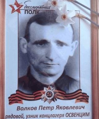 Волков Пётр Яковлевич