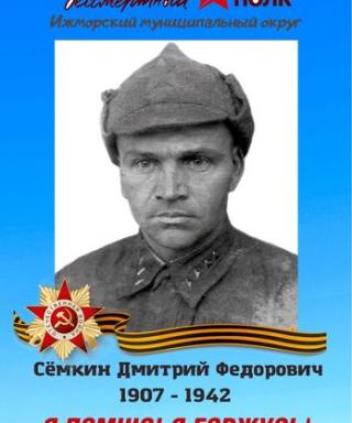 Сёмкин Дмитрий Фёдорович