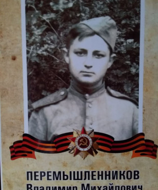 Перемышленников Владимир Михайлович