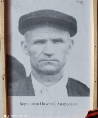 Боровиков Николай Андреевич