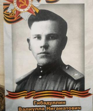 Гибадуллин Валиулла Нигматович