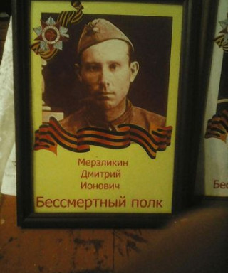 Мерзликин Дмитрий Ионович