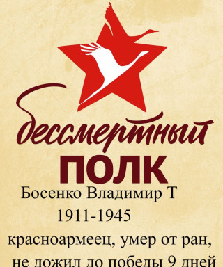 Босенко Владимир Т