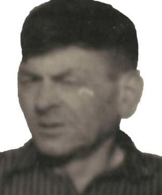 Токарев Михаил
