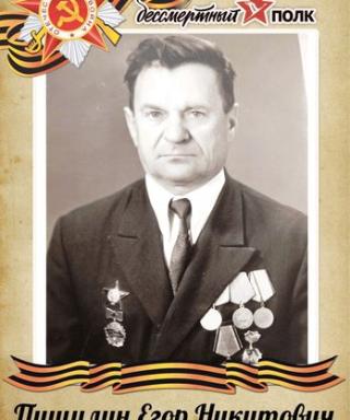 Пищулин Егор Никитович