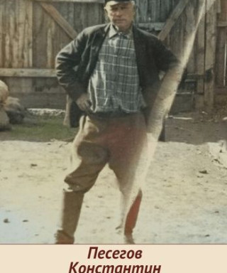 Песегов Константин Васильевич
