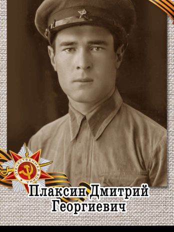 Плаксин Дмитрий Георгиевич