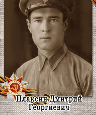 Плаксин Дмитрий Георгиевич