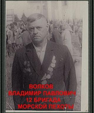 Волков Владимир Павлович