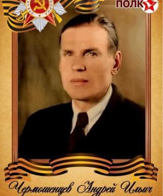 Чермошенцев Андрей Ильич