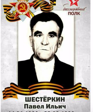 Шестёркин Павел Ильич