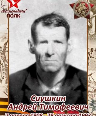 Сиушкин Андрей Тимофеевич