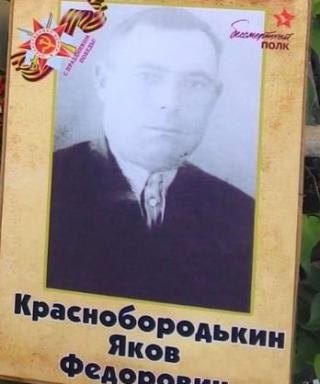 Краснобородькин Яков Федорович